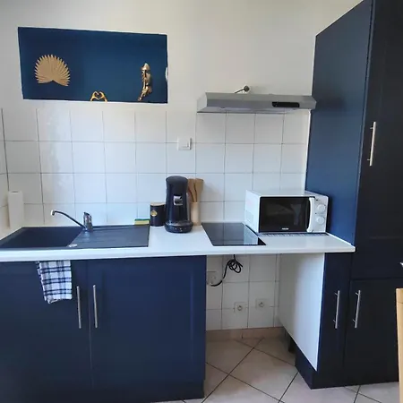 Le Refuge Bleu Et Or Appartement Lourdes